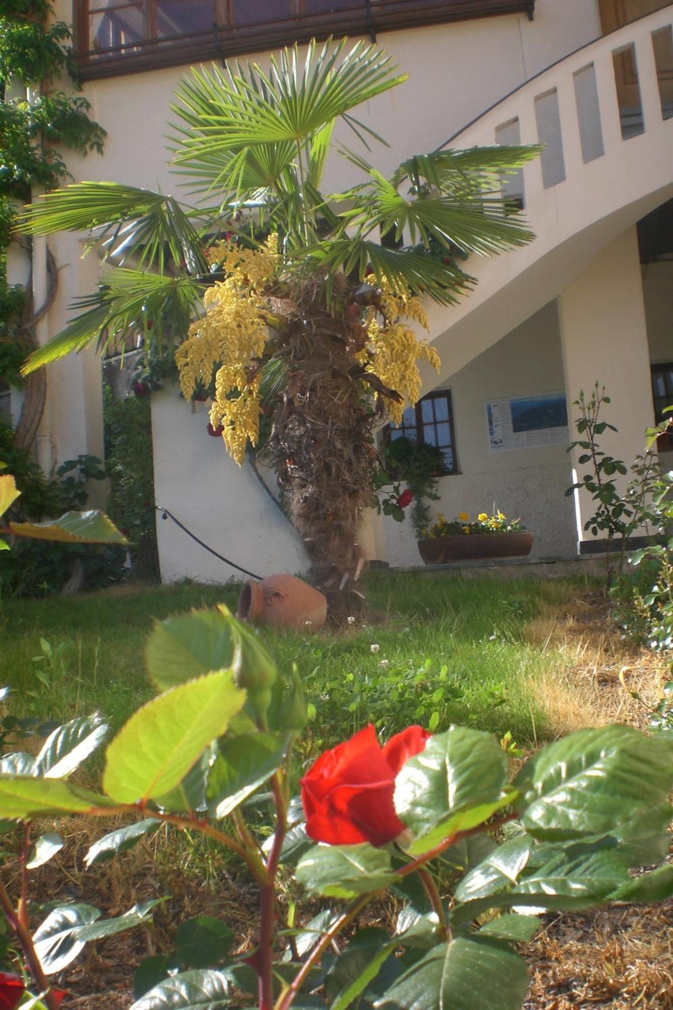 Residence Winklgut لاغوندو المظهر الخارجي الصورة